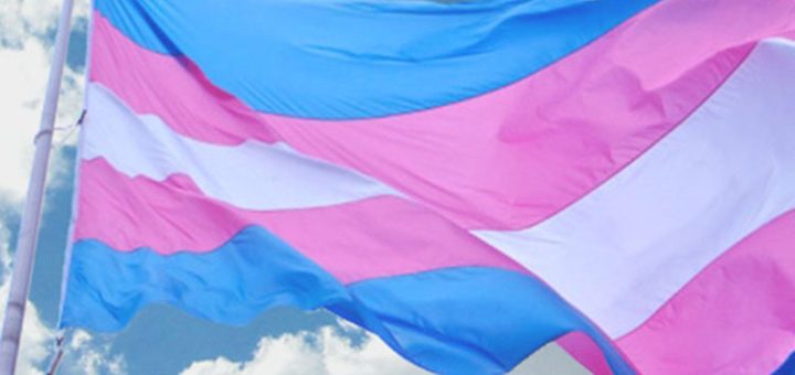 bandeira trans
