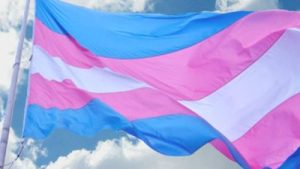 bandeira trans