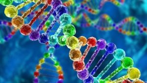 genes LGBTQIAPN+